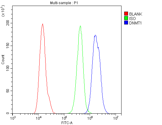 DNMT / DNMT1 Antibody - Flow Cytometry analysis of A431 cells using anti-Dnmt1 antibody. Overlay histogram showing A431 cells stained with anti-Dnmt1 antibody (Blue line). The cells were blocked with 10% normal goat serum. And then incubated with rabbit anti-Dnmt1 Antibody (1µg/10E6 cells) for 30 min at 20°C. DyLight®488 conjugated goat anti-rabbit IgG (5-10µg/10E6 cells) was used as secondary antibody for 30 minutes at 20°C. Isotype control antibody (Green line) was rabbit IgG (1µg/10E6 cells) used under the same conditions. Unlabelled sample (Red line) was also used as a control.