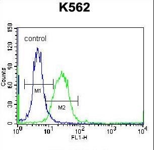DOC2A Antibody - DOC2A Antibody flow cytometry of K562 cells (right histogram) compared to a negative control cell (left histogram). FITC-conjugated donkey-anti-rabbit secondary antibodies were used for the analysis.