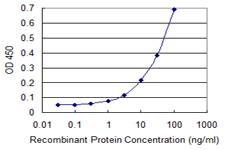 DOC2A Antibody - Detection limit for recombinant GST tagged DOC2A is 1 ng/ml as a capture antibody.