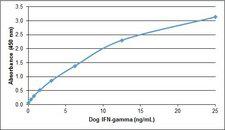 IFN Gamma / Interferon Gamma Protein - Recombinant Dog Interferon gamma detected using Rabbit anti Dog interferon gamma as the capture reagent and Rabbit anti Dog Interferon gamma:Biotin as the detection reagent followed by Streptavidin:HRP.