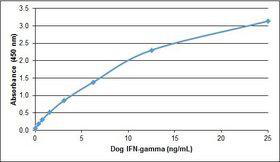 IFN Gamma / Interferon Gamma Protein - Recombinant Dog Interferon gamma detected using Rabbit anti Dog interferon gamma as the capture reagent and Rabbit anti Dog Interferon gamma:Biotin as the detection reagent followed by Streptavidin:HRP.