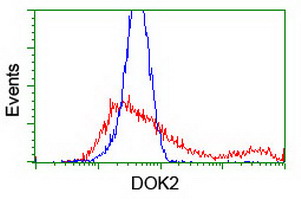DOK2 Antibody - HEK293T cells transfected with either overexpress plasmid (Red) or empty vector control plasmid (Blue) were immunostained by anti-DOK2 antibody, and then analyzed by flow cytometry.