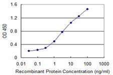 DP97 / DDX54 Antibody - Detection limit for recombinant GST tagged DDX54 is 0.03 ng/ml as a capture antibody.