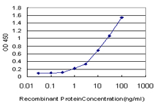 DPH2 Antibody - Detection limit for recombinant GST tagged DPH2 is approximately 0.3 ng/ml as a capture antibody.