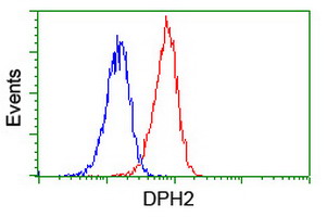 DPH2 Antibody - Flow cytometry of Jurkat cells, using anti-DPH2 antibody (Red), compared to a nonspecific negative control antibody (Blue).