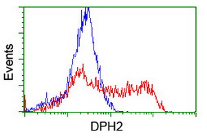 DPH2 Antibody - HEK293T cells transfected with either overexpress plasmid (Red) or empty vector control plasmid (Blue) were immunostained by anti-DPH2 antibody, and then analyzed by flow cytometry.