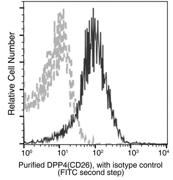 DPP4 / CD26 Antibody - Flow cytometric analysis of Mouse DPP4(CD26) expression on BABL/c splenocytes. Cells were stained with purified anti-Mouse DPP4(CD26), then a FITC-conjugated second step antibody. The fluorescence histograms were derived from gated events with the forward and side light-scatter characteristics of intact cells.