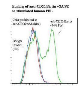 DPP4 / CD26 Antibody - Flow cytometry of DPP4 / CD26 antibody This image was taken for the unconjugated form of this product. Other forms have not been tested.