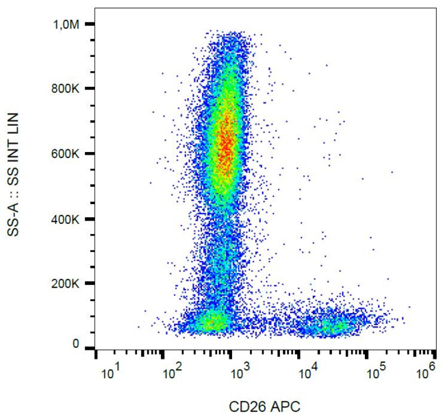 DPP4 / CD26 Antibody - Surface staining of human peripheral blood cells with anti-human CD26 (BA5b) APC.