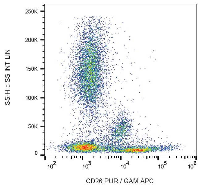 DPP4 / CD26 Antibody - Surface staining of human peripheral blood cells with anti-human CD26 (BA5b) purified, GAM-APC.