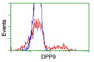 DPP9 Antibody - HEK293T cells transfected with either overexpress plasmid (Red) or empty vector control plasmid (Blue) were immunostained by anti-DPP9 antibody, and then analyzed by flow cytometry.