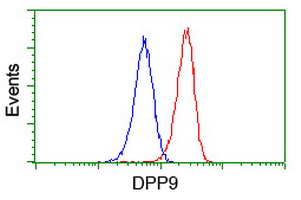 DPP9 Antibody - Flow cytometry of Jurkat cells, using anti-DPP9 antibody (Red), compared to a nonspecific negative control antibody (Blue).