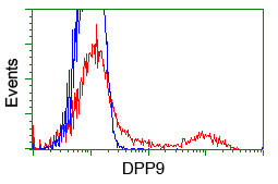 DPP9 Antibody - HEK293T cells transfected with either overexpress plasmid (Red) or empty vector control plasmid (Blue) were immunostained by anti-DPP9 antibody, and then analyzed by flow cytometry.