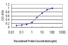 DPYS / Dihydropyrimidinase Antibody - Detection limit for recombinant GST tagged DPYS is approximately 0.1 ng/ml as a capture antibody.