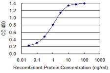 DPYSL2 / CRMP2 Antibody - Detection limit for recombinant GST tagged DPYSL2 is 0.03 ng/ml as a capture antibody.