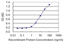 DPYSL3 / CRMP4 Antibody - Detection limit for recombinant GST tagged DPYSL3 is 0.3 ng/ml as a capture antibody.