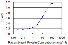 DPYSL5 / CRMP5 Antibody - Detection limit for recombinant GST tagged DPYSL5 is 0.3 ng/ml as a capture antibody.