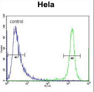 DRG1 / NEDD3 Antibody - DRG1 Antibody flow cytometry of HeLa cells (right histogram) compared to a negative control cell (left histogram). FITC-conjugated goat-anti-rabbit secondary antibodies were used for the analysis.