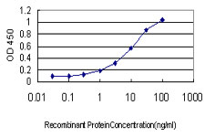 DRPLA / Atrophin-1 Antibody - Detection limit for recombinant GST tagged ATN1 is approximately 0.3 ng/ml as a capture antibody.