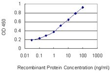 DSC2 / Desmocollin 2 Antibody - Detection limit for recombinant GST tagged DSC2 is 0.03 ng/ml as a capture antibody.