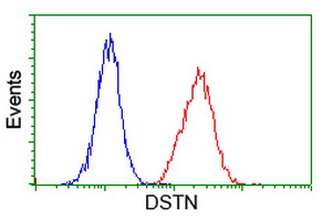 DSTN / Destrin Antibody - Flow cytometry of Jurkat cells, using anti-DSTN antibody (Red), compared to a nonspecific negative control antibody (Blue).