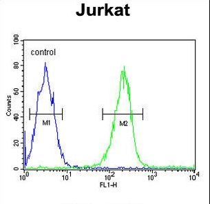 DTX1 / Deltex Antibody - DTX1 Antibody flow cytometry of Jurkat cells (right histogram) compared to a negative control cell (left histogram). FITC-conjugated goat-anti-rabbit secondary antibodies were used for the analysis.