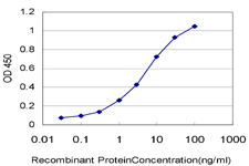 DTX3L Antibody - Detection limit for recombinant GST tagged DTX3L is approximately 0.3ng/ml as a capture antibody.