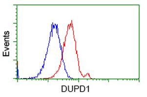 DUPD1 Antibody - Flow cytometry of HeLa cells, using anti-DUPD1 antibody, (Red), compared to a nonspecific negative control antibody, (Blue).