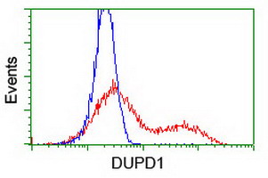 DUPD1 Antibody - HEK293T cells transfected with either overexpress plasmid (Red) or empty vector control plasmid (Blue) were immunostained by anti-DUPD1 antibody, and then analyzed by flow cytometry.