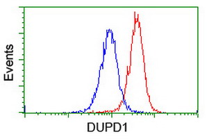 DUPD1 Antibody - Flow cytometry of Jurkat cells, using anti-DUPD1 antibody (Red), compared to a nonspecific negative control antibody (Blue).