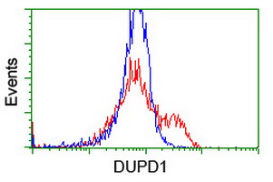DUPD1 Antibody - HEK293T cells transfected with either overexpress plasmid (Red) or empty vector control plasmid (Blue) were immunostained by anti-DUPD1 antibody, and then analyzed by flow cytometry.