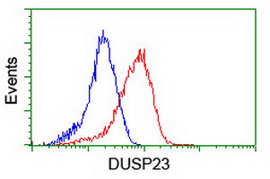 DUSP23 Antibody - Flow cytometry of HeLa cells, using anti-DUSP23 antibody (Red), compared to a nonspecific negative control antibody (Blue).
