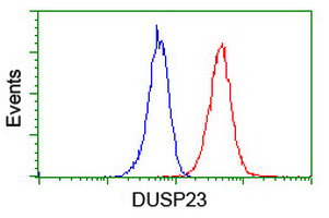 DUSP23 Antibody - Flow cytometry of Jurkat cells, using anti-DUSP23 antibody (Red), compared to a nonspecific negative control antibody (Blue).