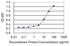 DUSP3 / VHR Antibody - Detection limit for recombinant GST tagged DUSP3 is 0.3 ng/ml as a capture antibody.