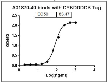 DYKDDDDK Tag Antibody - MonoRab?? DYKDDDDK Tag Antibody [Biotin], mAb, Rabbit binds with DYKDDDDK Tag. Coating antigen: streptavidin, 5 µg/ml. MonoRab?? DYKDDDDK Tag Antibody [Biotin], mAb, Rabbit dilution start from 1,000 ng/ml. Secondary Antibody: Mouse Anti-Rabbit IgG Antibody (M205) [HRP], mAb EC50= 83.47 ng/ml.