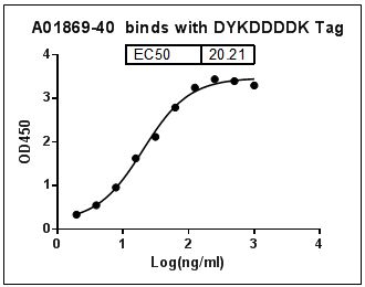 DYKDDDDK Tag Antibody - MonoRab?? DYKDDDDK Tag Antibody [HRP], mAb, Rabbit binds with DYKDDDDK Tag. Coating antigen: DYKDDDDK-tagged fusion protein, 1 µg/ml. MonoRab?? DYKDDDDK Tag Antibody [HRP], mAb, Rabbit dilution start from 1,000 ng/ml. EC50= 20.21 ng/ml.