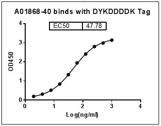 DYKDDDDK Tag Antibody - MonoRab?? DYKDDDDK Tag Antibody, mAb, Rabbit binds with DYKDDDDK Tag. Coating antigen: DYKDDDDK-tagged fusion protein, 1 µg/ml. MonoRab?? DYKDDDDK Tag Antibody, mAb, Rabbit dilution start from 1,000 ng/ml. EC50= 47.78 ng/ml.
