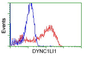 DYNC1LI1 Antibody - HEK293T cells transfected with either overexpress plasmid (Red) or empty vector control plasmid (Blue) were immunostained by anti-DYNC1LI1 antibody, and then analyzed by flow cytometry.
