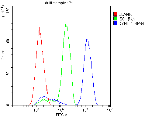 DYNLT1 / TCTEX-1 Antibody - Flow Cytometry analysis of SiHa cells using anti-DYNLT1 antibody. Overlay histogram showing SiHa cells stained with anti-DYNLT1 antibody (Blue line). The cells were blocked with 10% normal goat serum. And then incubated with rabbit anti-DYNLT1 Antibody (1µg/10E6 cells) for 30 min at 20°C. DyLight®488 conjugated goat anti-rabbit IgG (5-10µg/10E6 cells) was used as secondary antibody for 30 minutes at 20°C. Isotype control antibody (Green line) was rabbit IgG (1µg/10E6 cells) used under the same conditions. Unlabelled sample (Red line) was also used as a control.