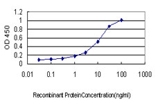 Dystonin / BPAG1 Antibody - Detection limit for recombinant GST tagged DST is approximately 0.1 ng/ml as a capture antibody.
