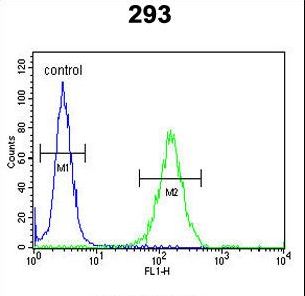 DZIP1 Antibody - DZIP1 Antibody flow cytometry of 293 cells (right histogram) compared to a negative control cell (left histogram). FITC-conjugated goat-anti-rabbit secondary antibodies were used for the analysis.