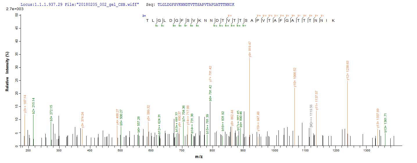 fliC / Flagellin Protein - Based on the SEQUEST from database of E.coli host and target protein, the LC-MS/MS Analysis result of Recombinant Escherichia coli Flagellin(fliC) could indicate that this peptide derived from E.coli-expressed Escherichia coli (strain K12) f