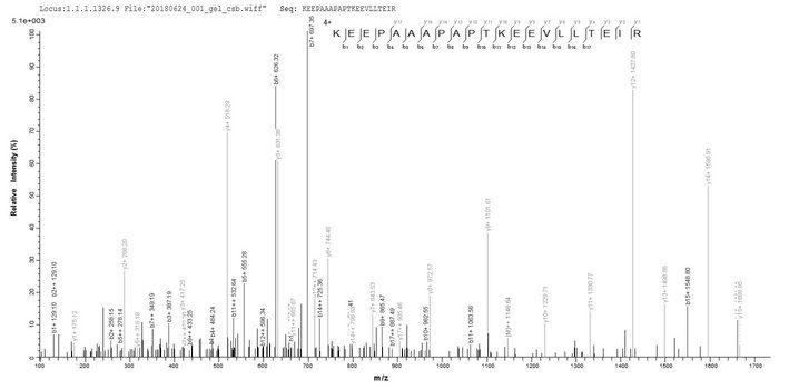 mscL Protein - Based on the SEQUEST from database of E.coli host and target protein, the LC-MS/MS Analysis result of Recombinant Escherichia coli O157:H7 Large-conductance mechanosensitive channel(mscL) could indicate that this peptide derived from E.coli-expressed Escherichia coli O157:H7 mscL.