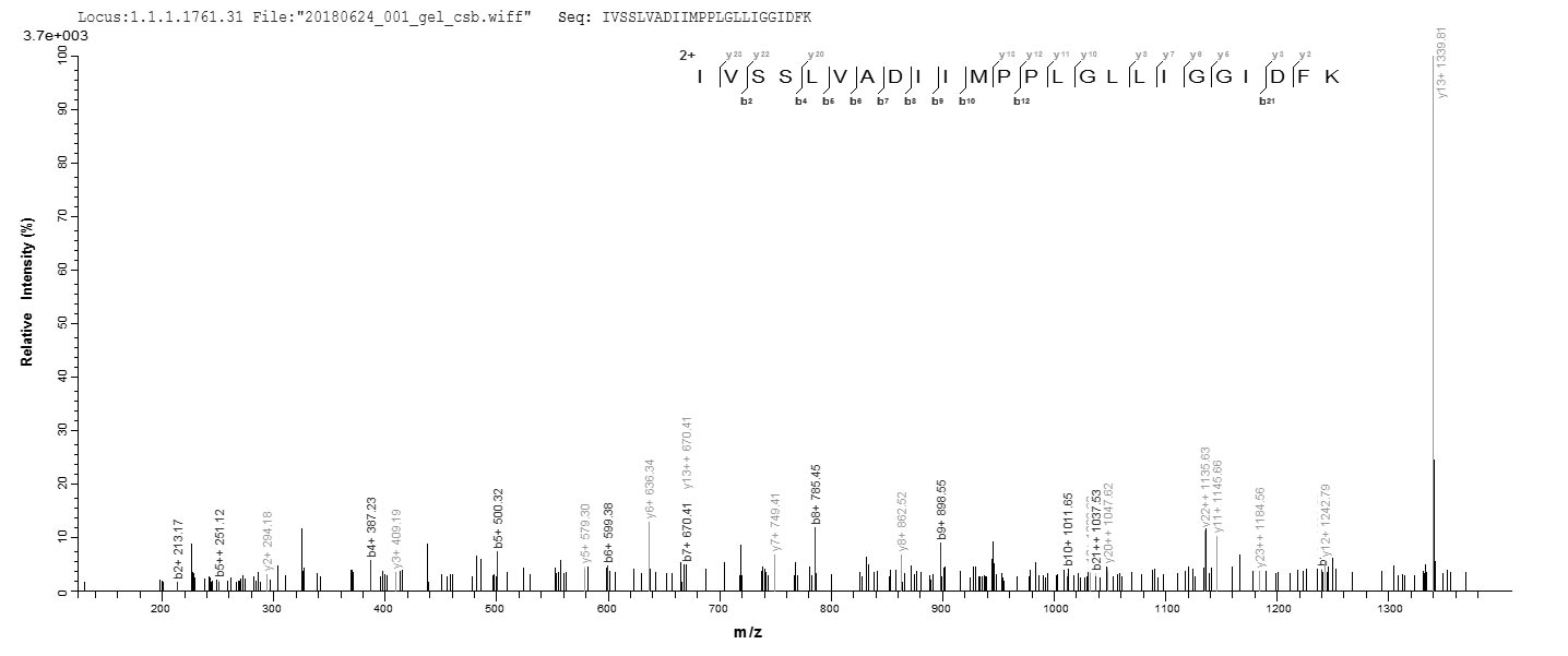 mscL Protein - Based on the SEQUEST from database of E.coli host and target protein, the LC-MS/MS Analysis result of Recombinant Escherichia coli O157:H7 Large-conductance mechanosensitive channel(mscL) could indicate that this peptide derived from E.coli-expressed Escherichia coli O157:H7 mscL.