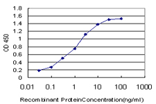 E2F1 Antibody - Detection limit for recombinant GST tagged E2F1 is approximately 0.03 ng/ml as a capture antibody.