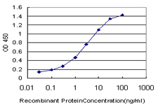 E2F4 Antibody - Detection limit for recombinant GST tagged E2F4 is approximately 0.03 ng/ml as a capture antibody.
