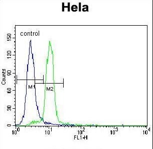 E6AP / UBE3A Antibody - UBE3A Antibody flow cytometry of HeLa cells (right histogram) compared to a negative control cell (left histogram). FITC-conjugated goat-anti-rabbit secondary antibodies were used for the analysis.