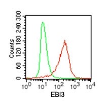 EBI3 / IL-27B Antibody - Flow Cytometry: EBI3 Antibody (42N1G4) - Intracellular analysis of EBI3 in transfected cells using EBI3 antibody at 0.2 ug/10^6 cells.  This image was taken for the unconjugated form of this product. Other forms have not been tested.