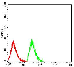 EDA2R / XEDAR Antibody - Flow cytometric analysis of MOLT4 cells using EDA2R mouse mAb (green) and negative control (red).