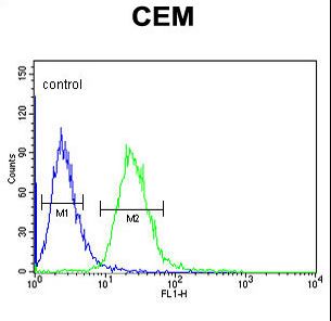 EDIL3 / DEL1 Antibody - EDIL3 Antibody flow cytometry of CEM cells (right histogram) compared to a negative control cell (left histogram). FITC-conjugated goat-anti-rabbit secondary antibodies were used for the analysis.